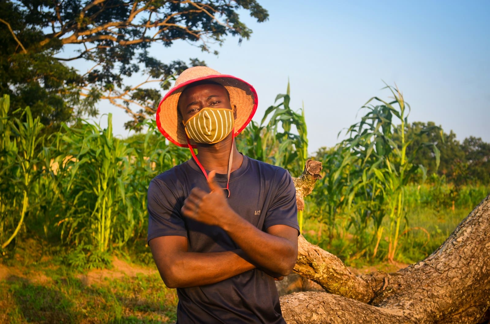 Agriculture et élevage