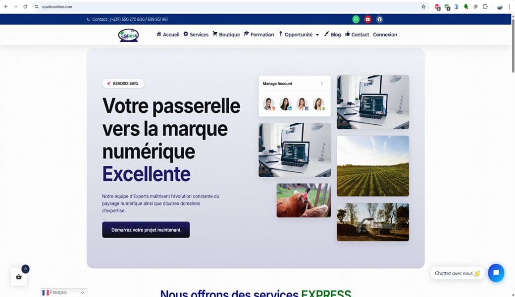 Site web ESADISS Online