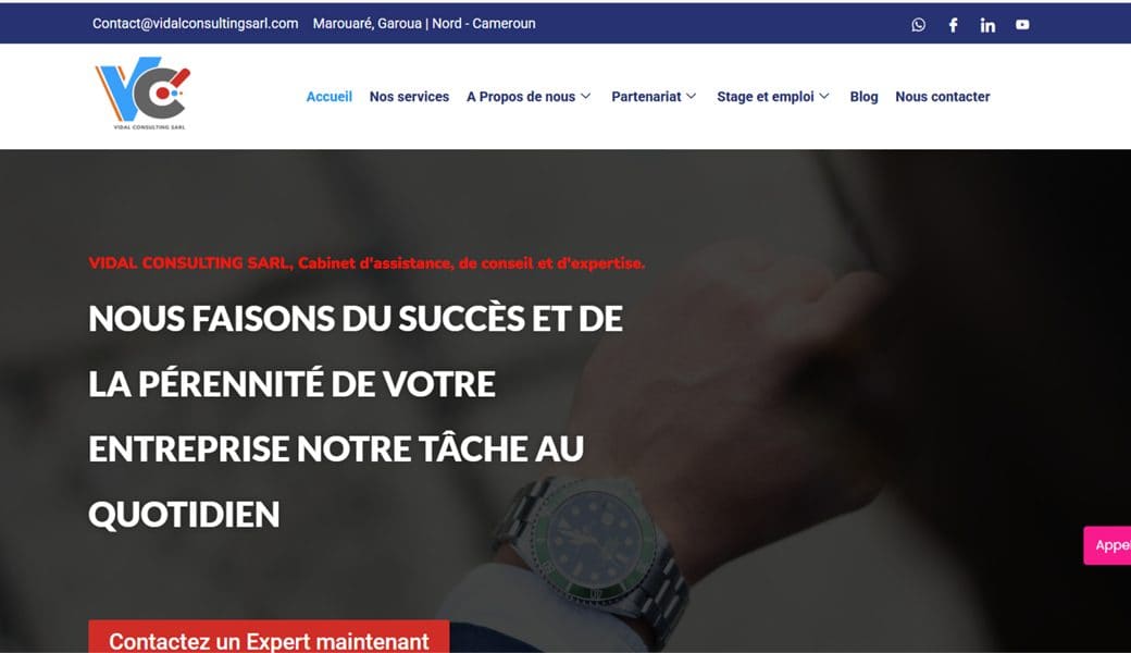 Site web & publicité digitale